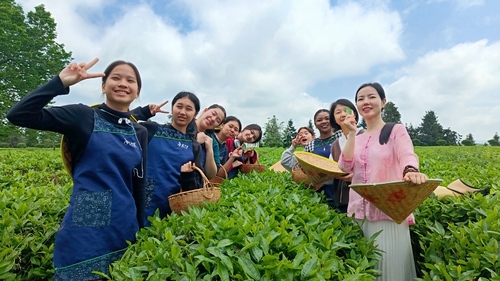 QQ图片20240503210727