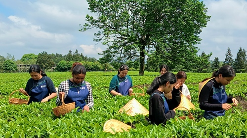 QQ图片20240503210738