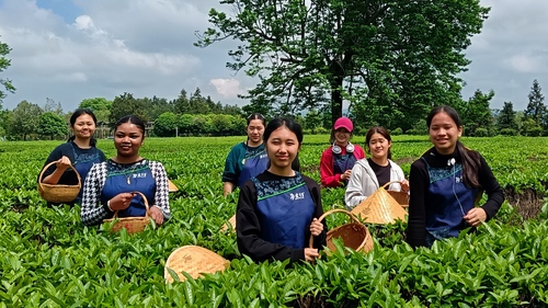 QQ图片20240503210732